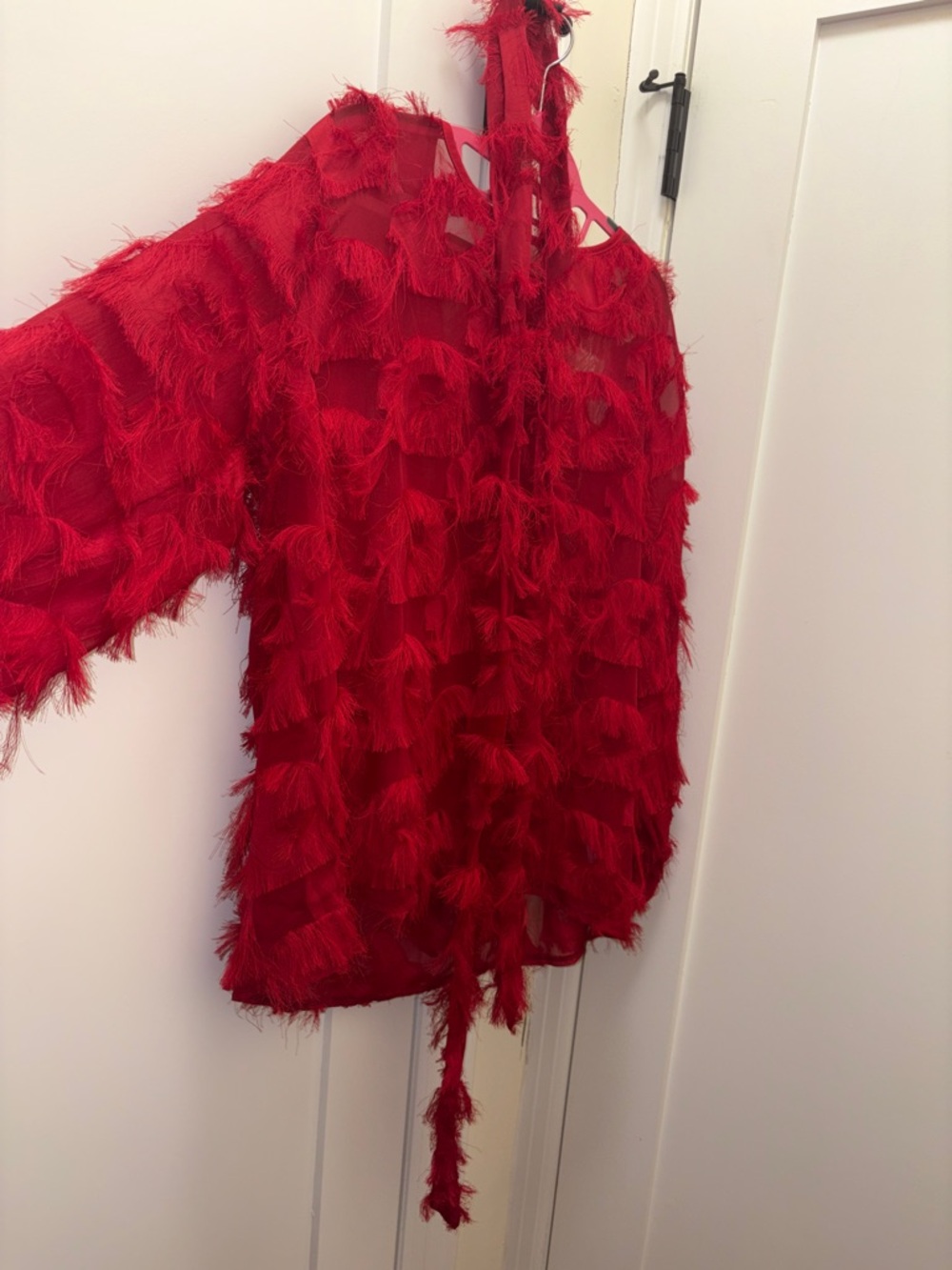 Red Fringe Textured Sheer Top